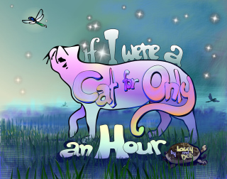 Cover_Cat - 01.jpg