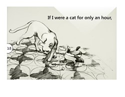 p12 - If I Were a Cat.jpg